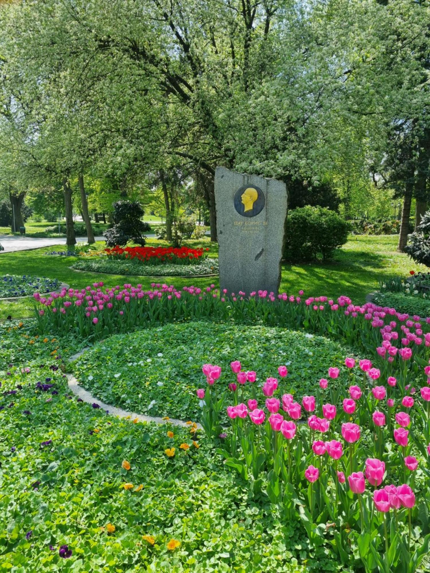 Tulip Dreamland Διαμέρισμα Σόφια Εξωτερικό φωτογραφία