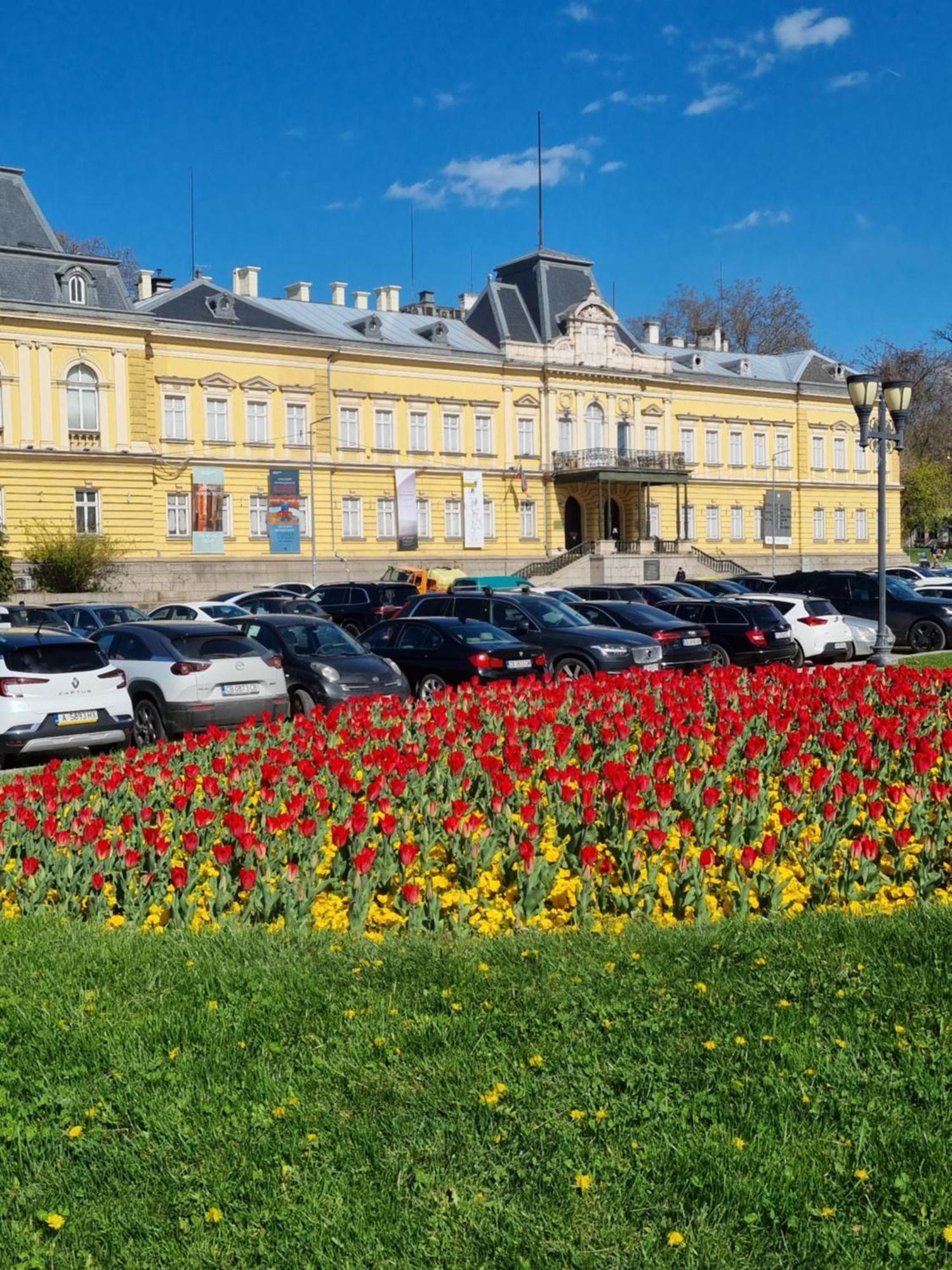 Tulip Dreamland Διαμέρισμα Σόφια Εξωτερικό φωτογραφία