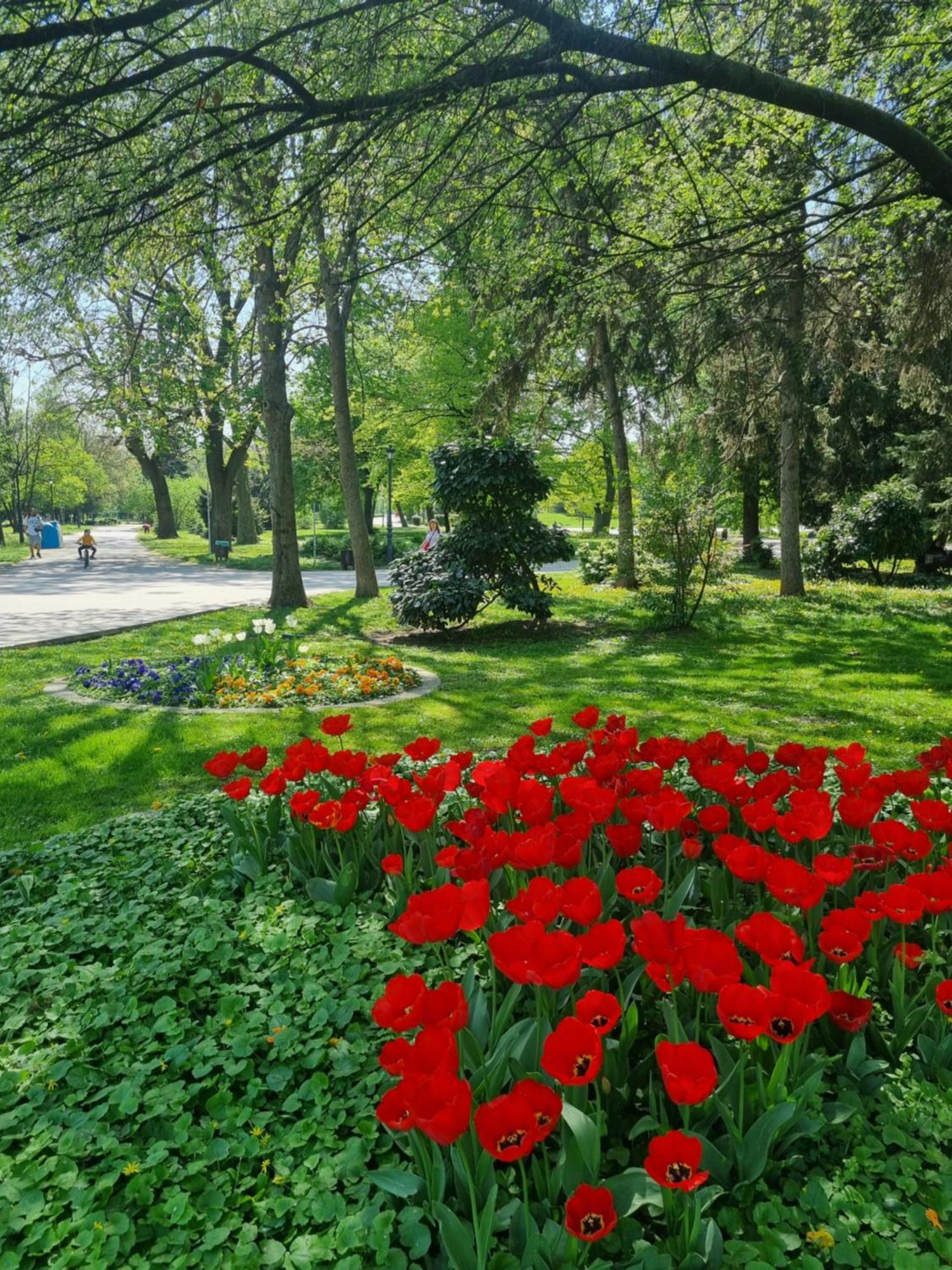 Tulip Dreamland Διαμέρισμα Σόφια Εξωτερικό φωτογραφία