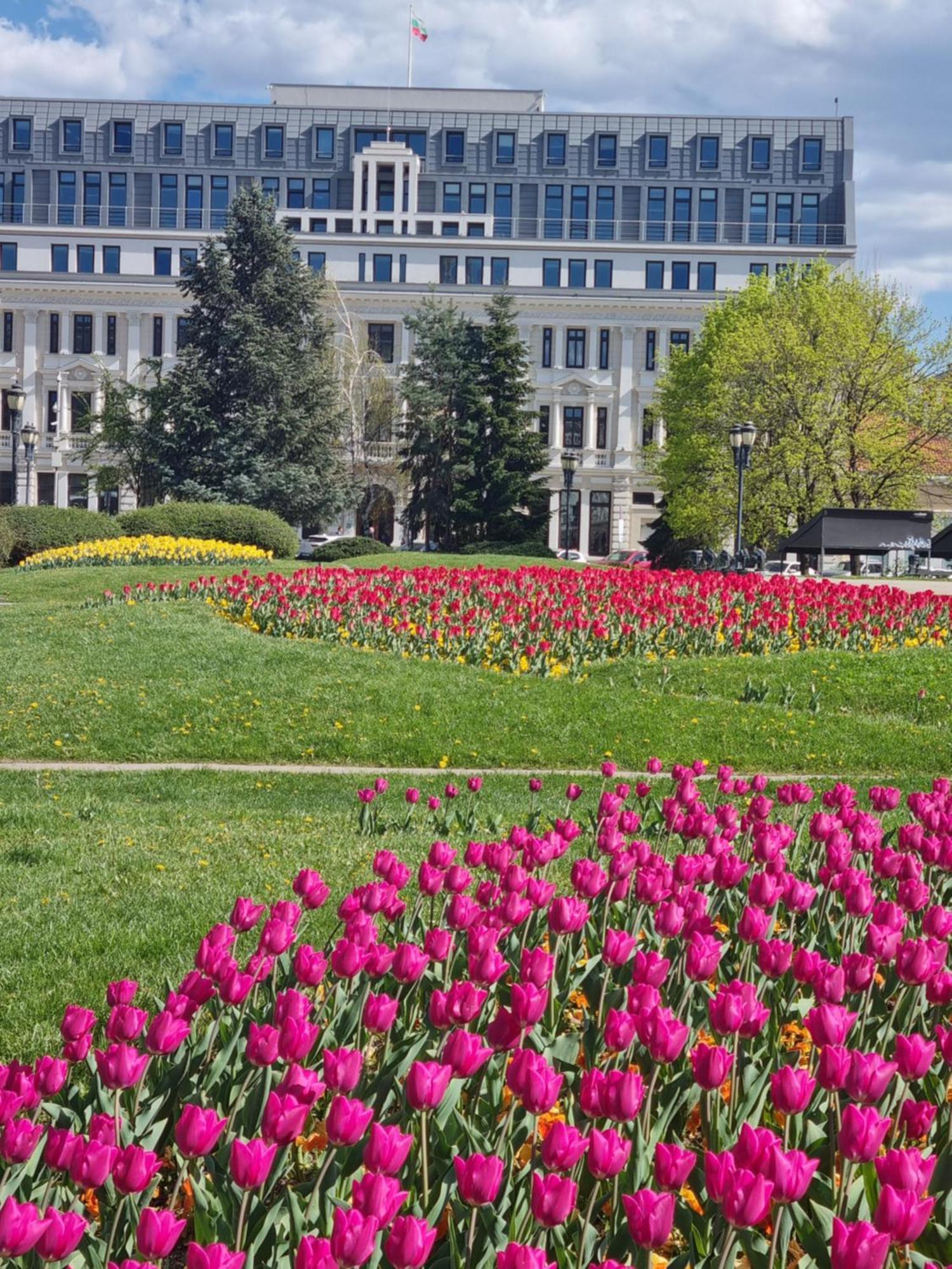 Tulip Dreamland Διαμέρισμα Σόφια Εξωτερικό φωτογραφία