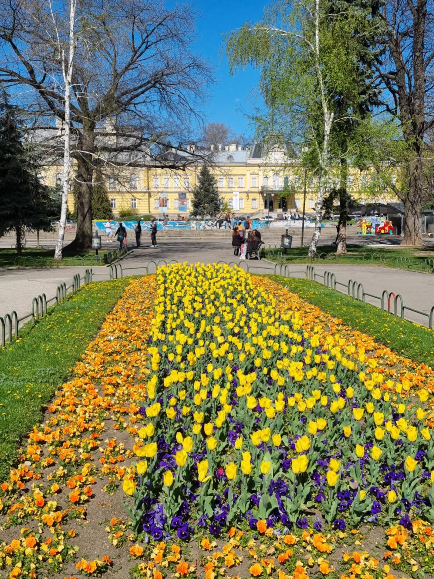 Tulip Dreamland Διαμέρισμα Σόφια Εξωτερικό φωτογραφία