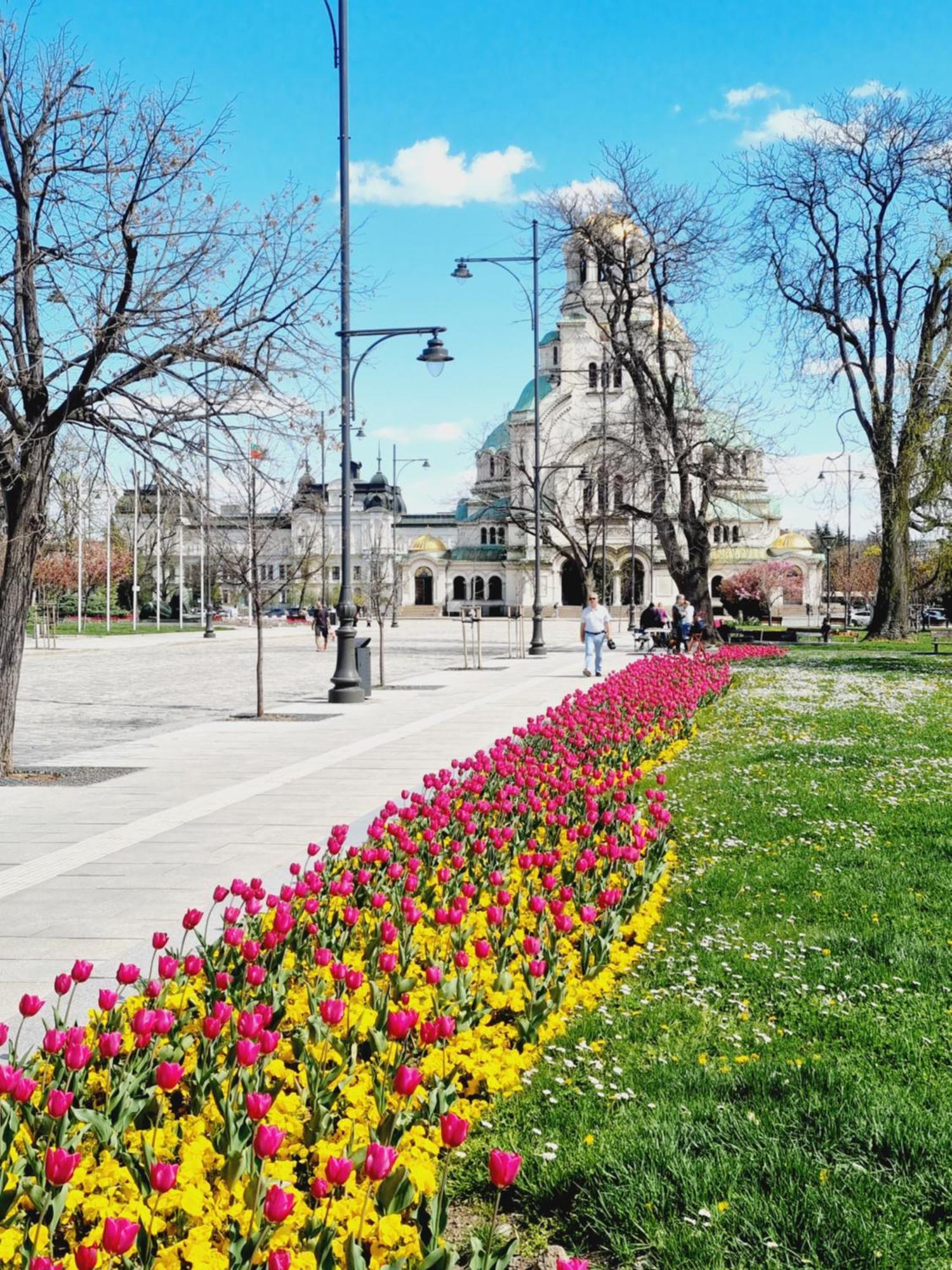 Tulip Dreamland Διαμέρισμα Σόφια Εξωτερικό φωτογραφία