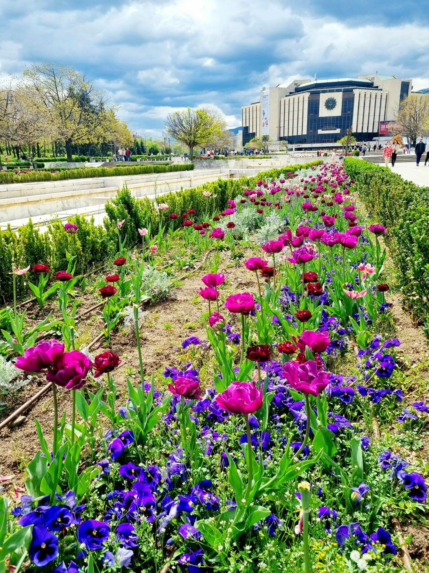 Tulip Dreamland Διαμέρισμα Σόφια Εξωτερικό φωτογραφία