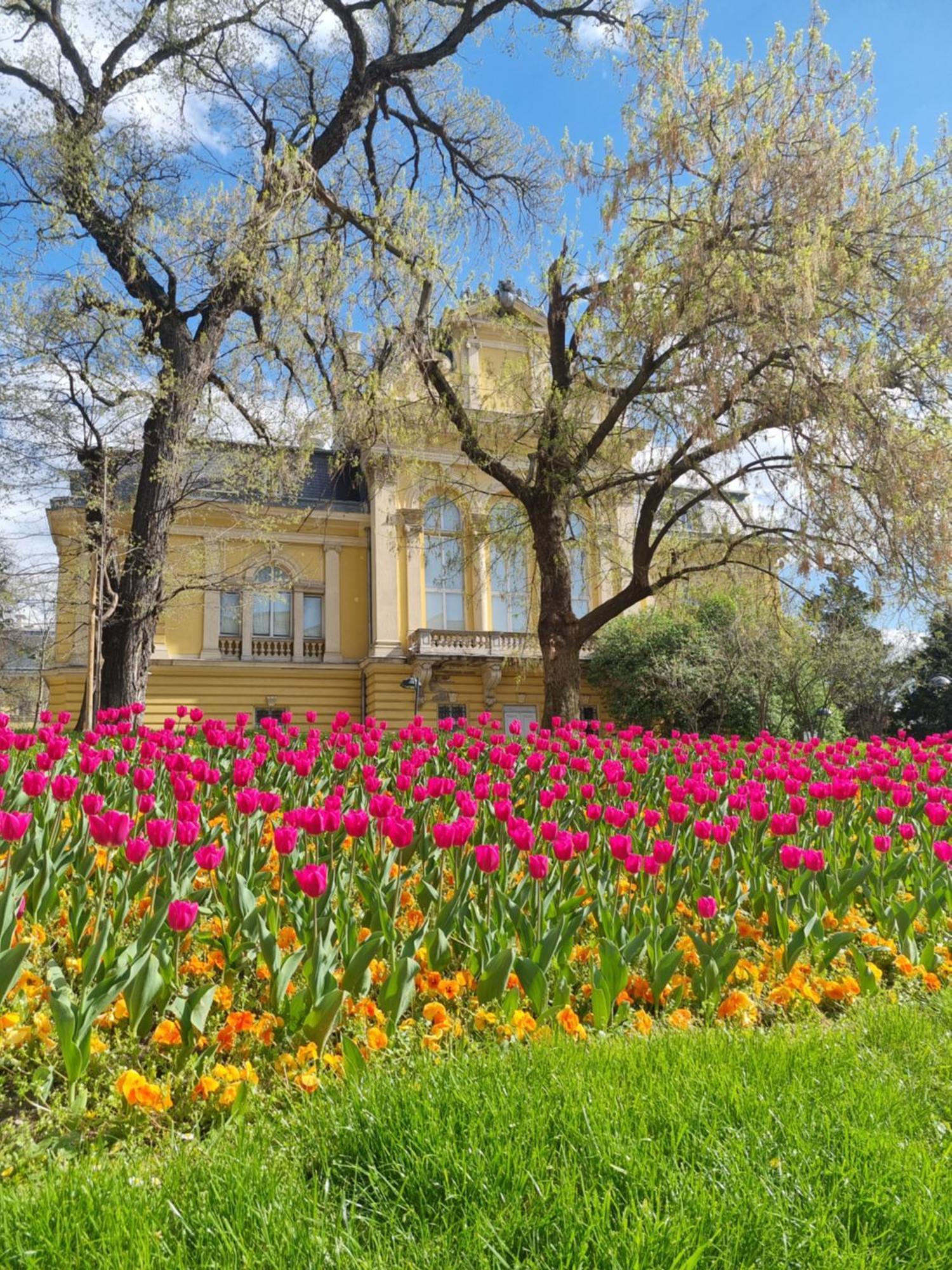 Tulip Dreamland Διαμέρισμα Σόφια Εξωτερικό φωτογραφία